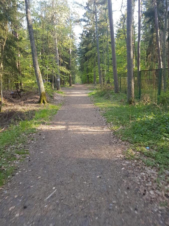 Apartament Relax U Agi I Jurka Stegna  Zewnętrze zdjęcie